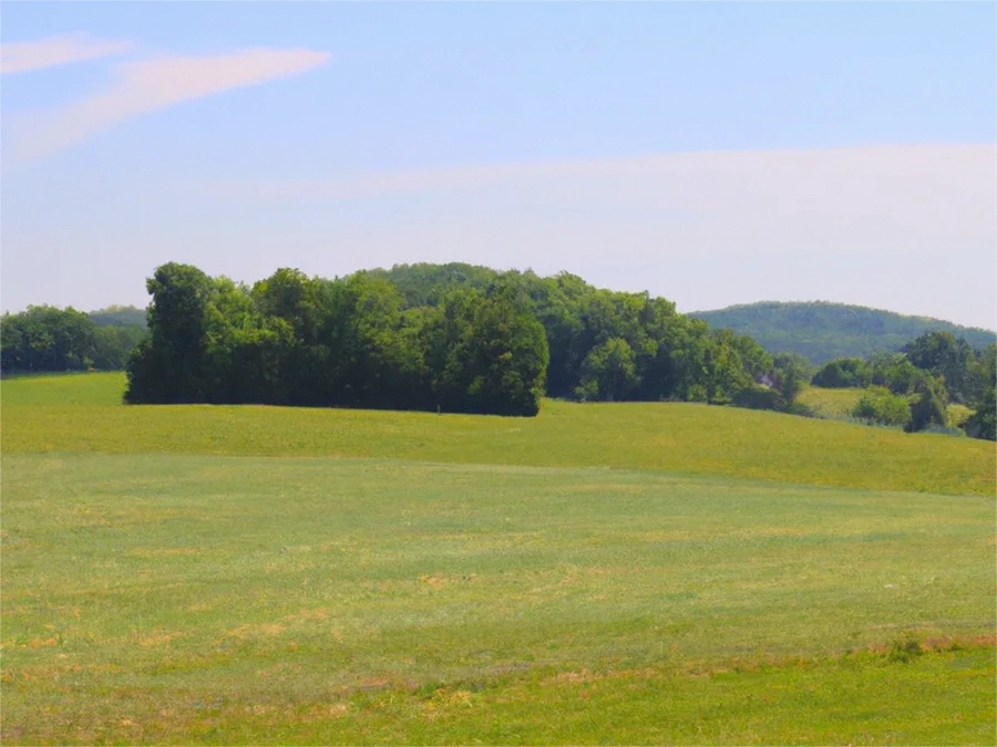 Vacant Lots in Augusta County